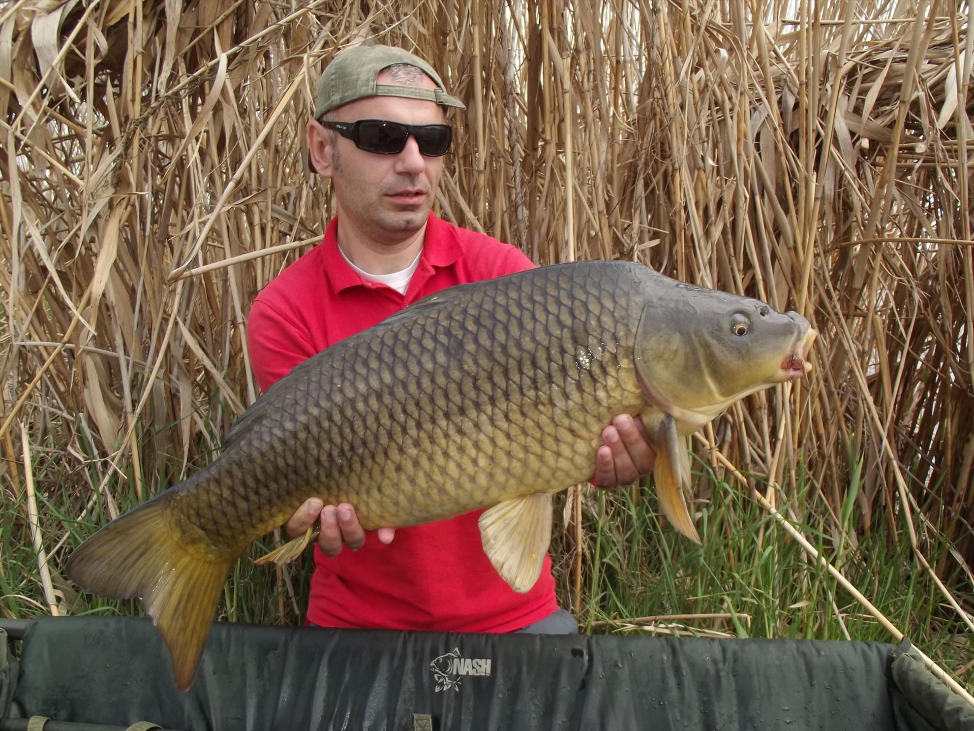 Tancabesti 19 - 21 apr. - dscf3606.JPG